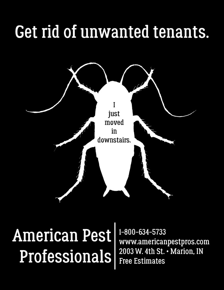 American Pest Professionals
